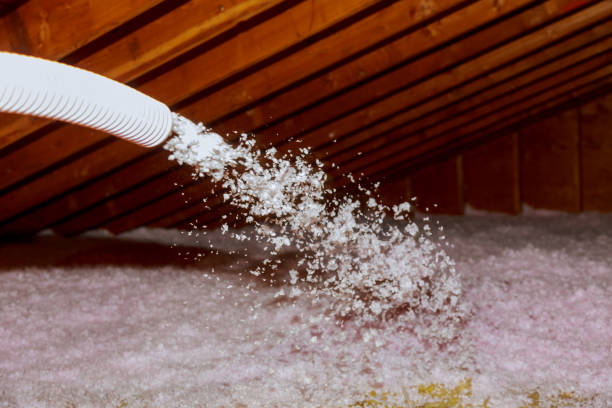 Best Energy Efficiency Insulation in Badieville, LA