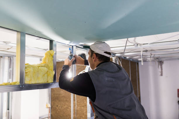 Best Geographic-Specific Insulation Services in Badieville, LA