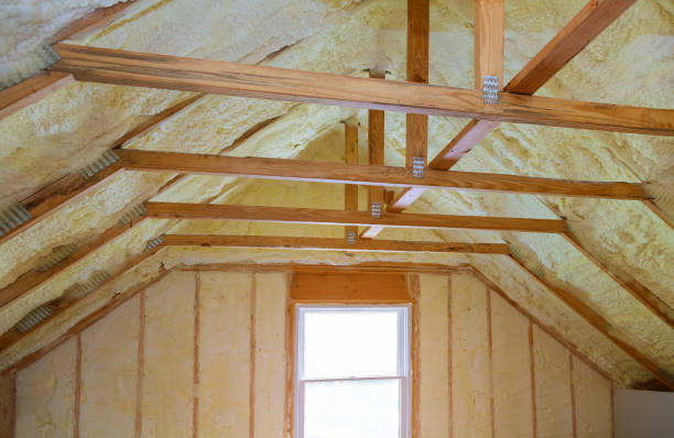 Professional Insulation Contractor in Labadieville, LA
