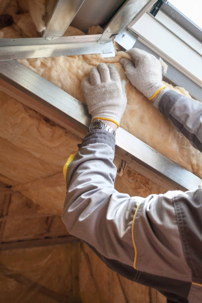 Types of Insulation We Offer in Labadieville, LA