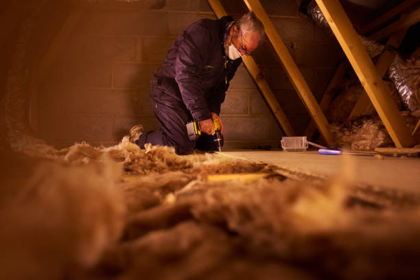 Best Insulation Maintenance and Repair in Badieville, LA